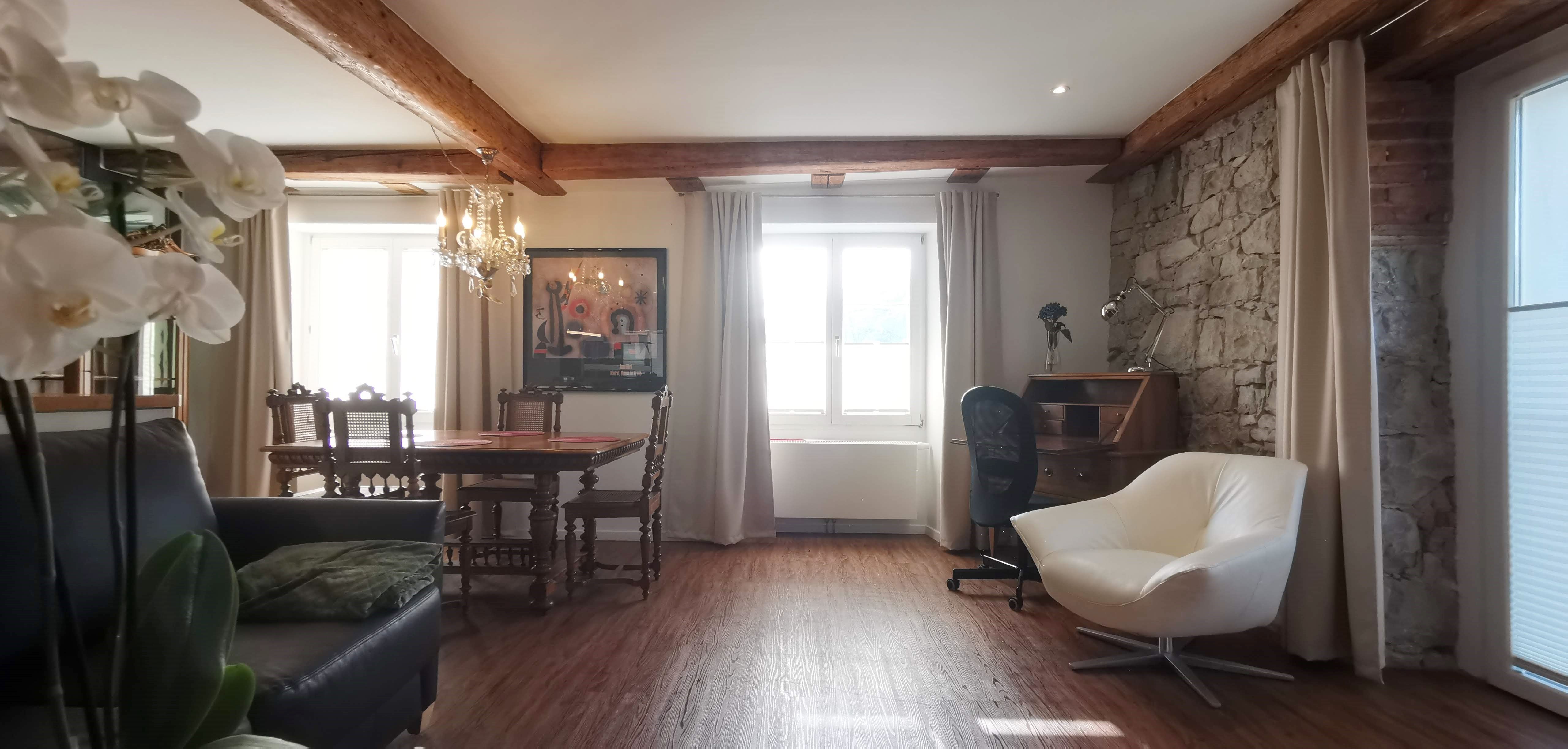  Perfect & Wonderful Loft (Klettgau)  -  Perfect & wonderful loft (Klettgau)  - Gallery -  21