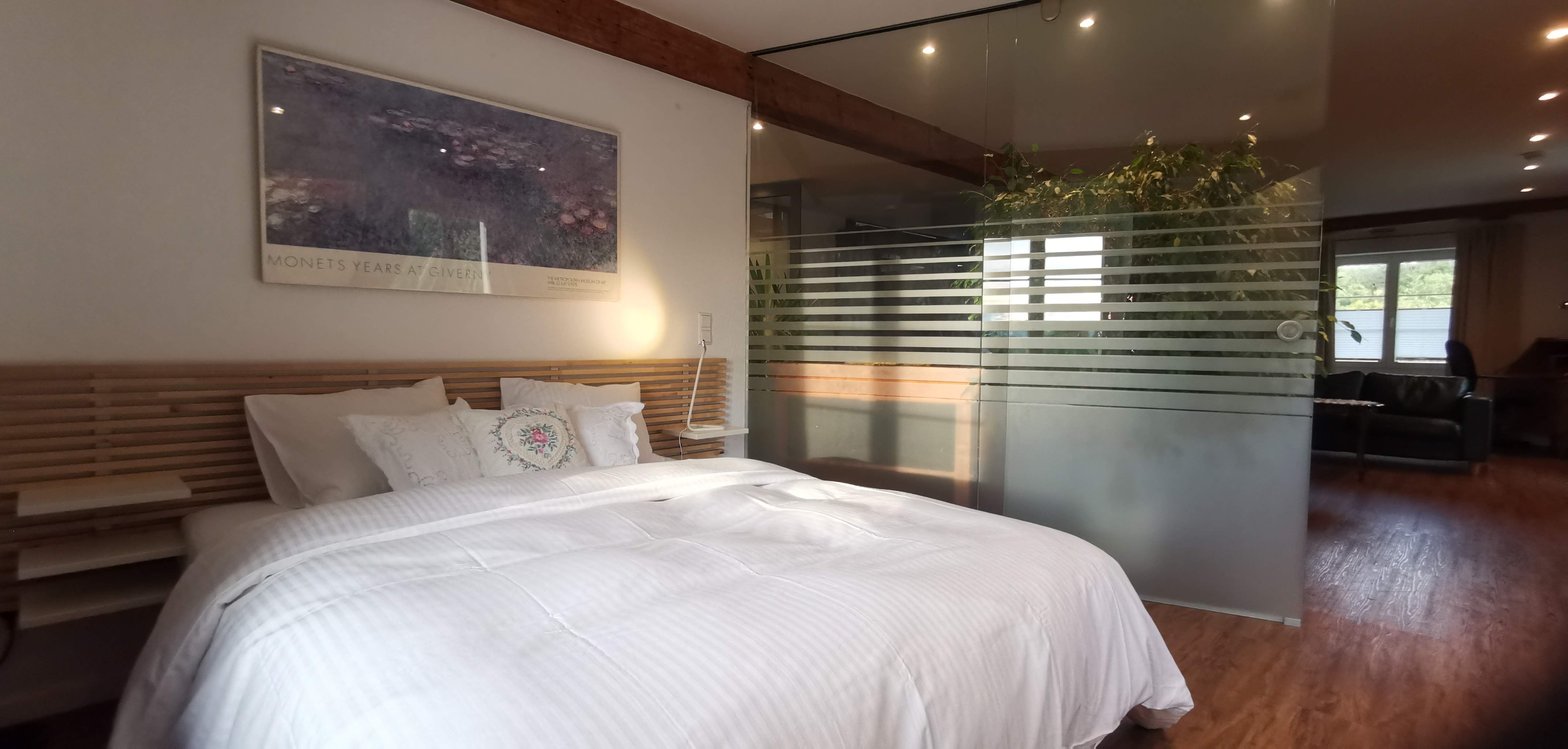  Perfect & Wonderful Loft (Klettgau)  -  Perfect & wonderful loft (Klettgau)  - Gallery -  11