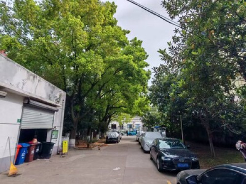 Shanghai Meiyinlin Homestay - Gallery - 11