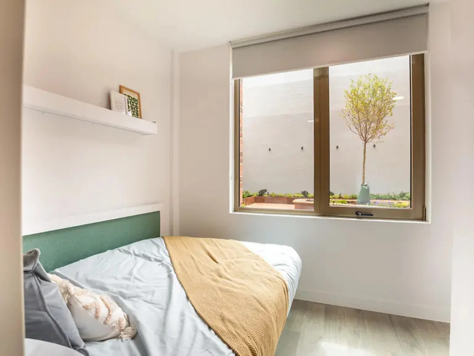  Accessible Studio  -  Promenade Student Living  - Gallery -  1