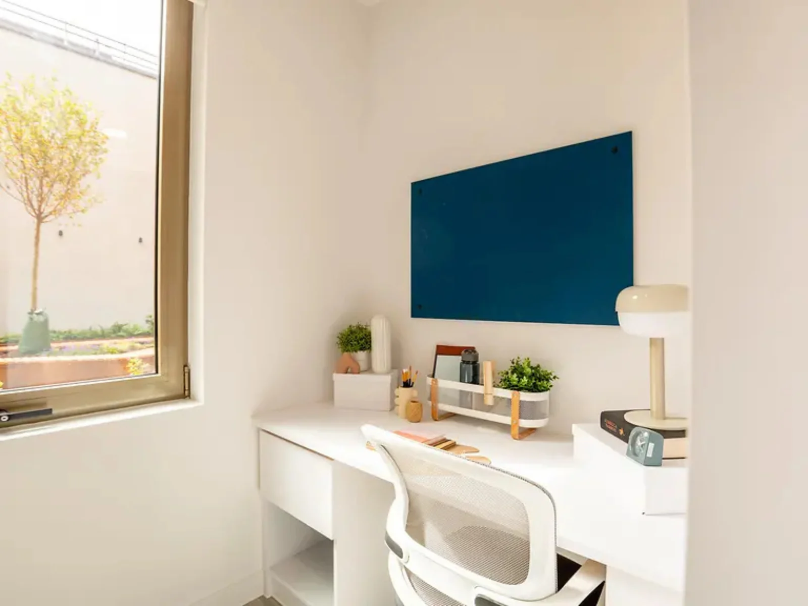  Accessible Studio  -  Promenade Student Living  - Gallery -  5