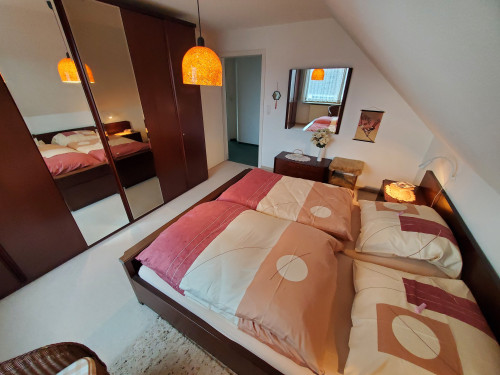 Bright, spacious apartment in a quiet location near nature - Gallery - 25