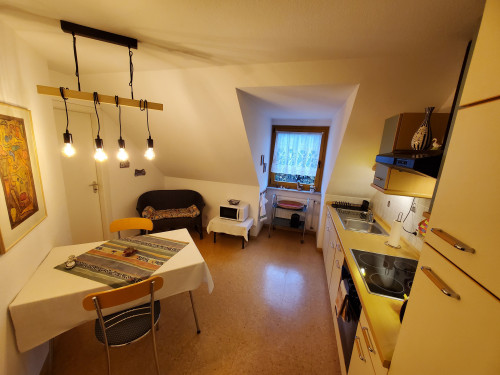 Bright, spacious apartment in a quiet location near nature - Gallery - 8