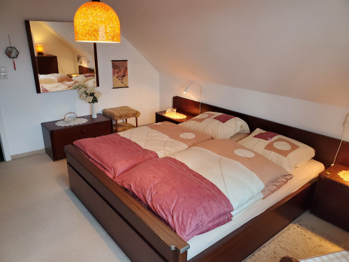Bright, spacious apartment in a quiet location near nature - Gallery - 15
