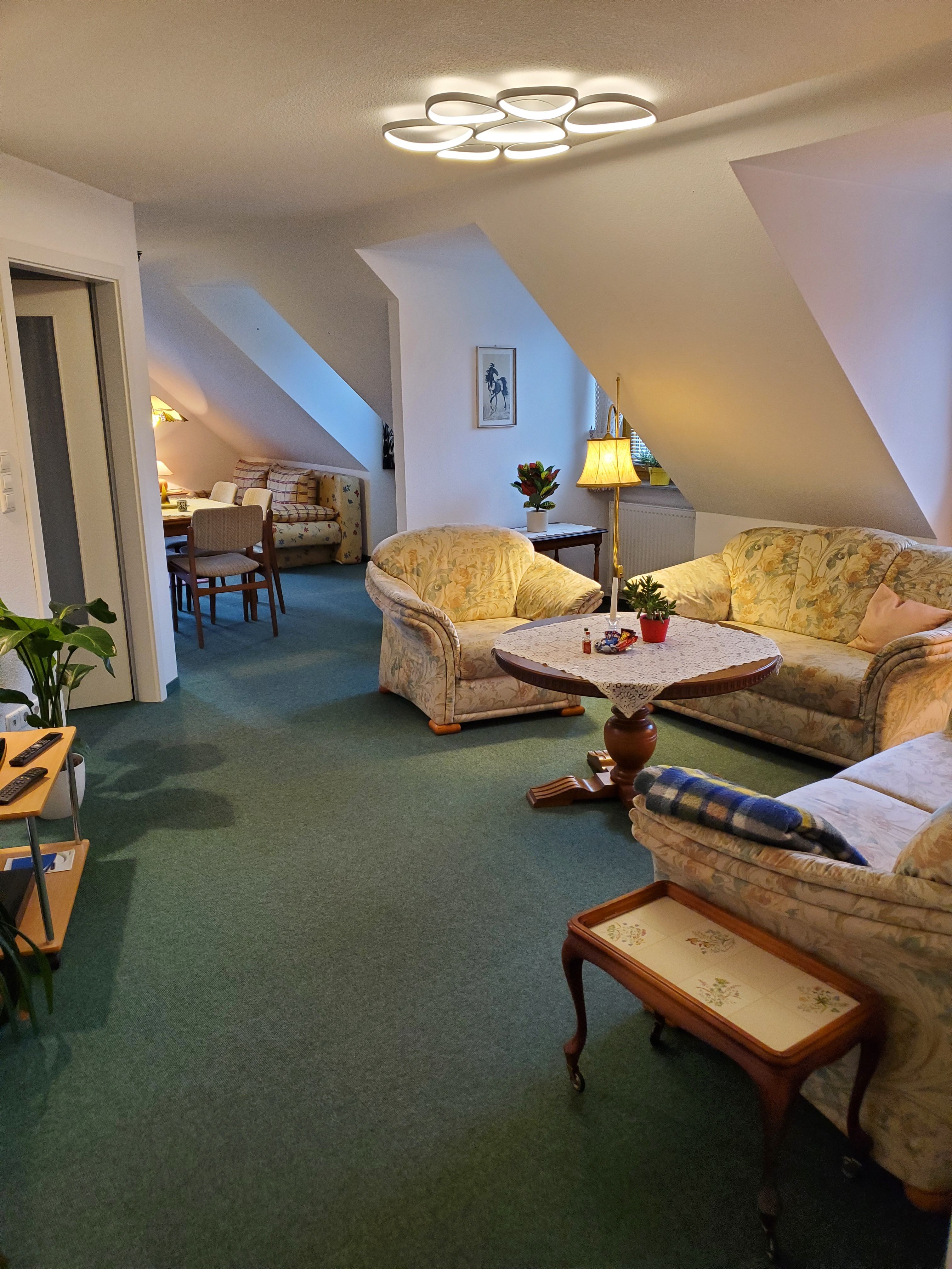 Bright, Spacious Apartment In A Quiet Location Near Nature - 16