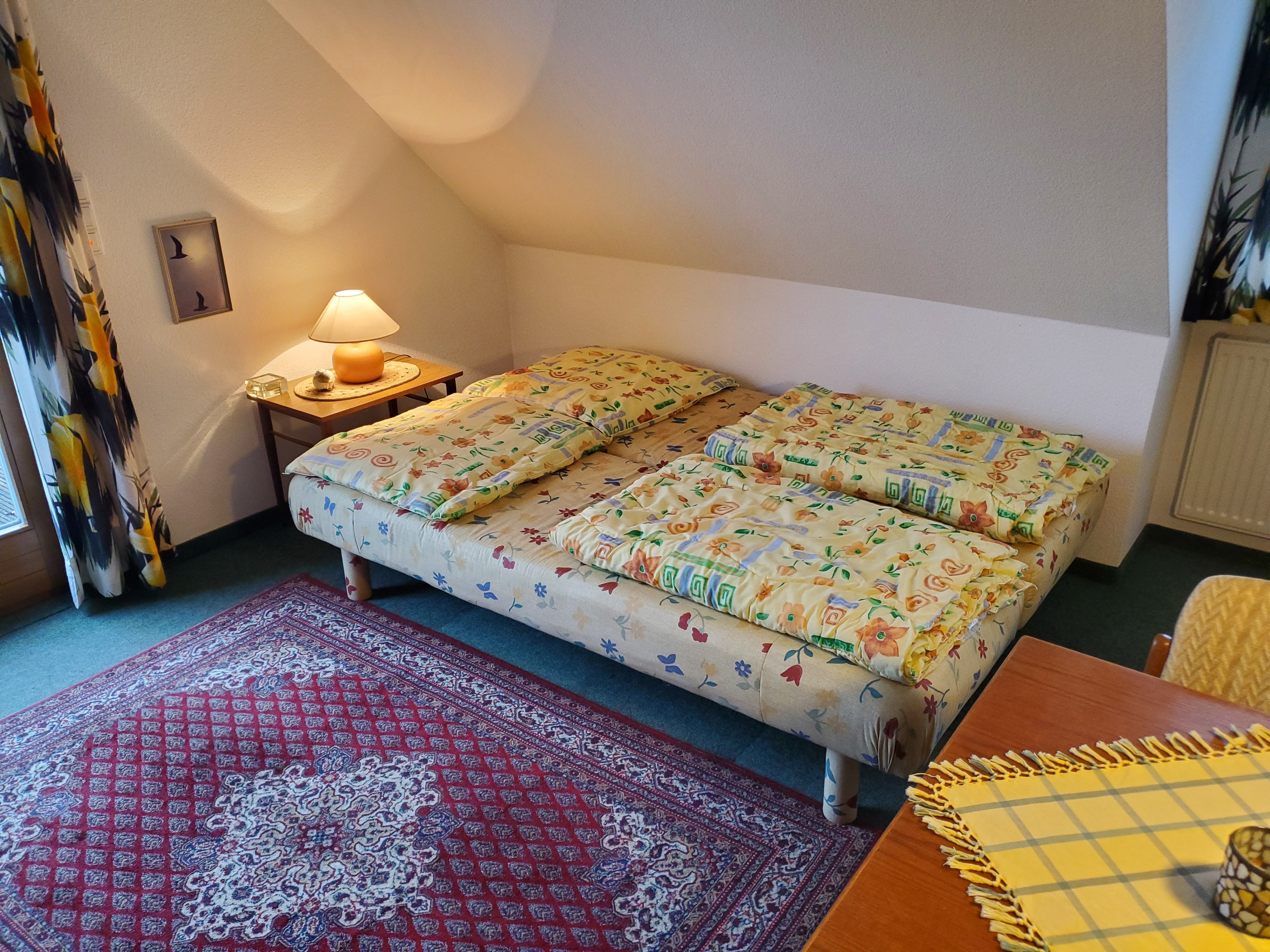 Bright, Spacious Apartment In A Quiet Location Near Nature - 20