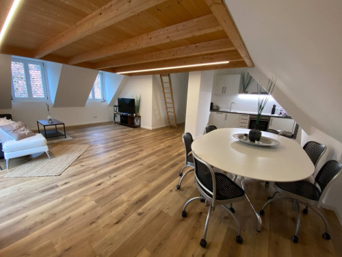 clay & style - stylish living with a lofted sleeping area - Gallery - 7