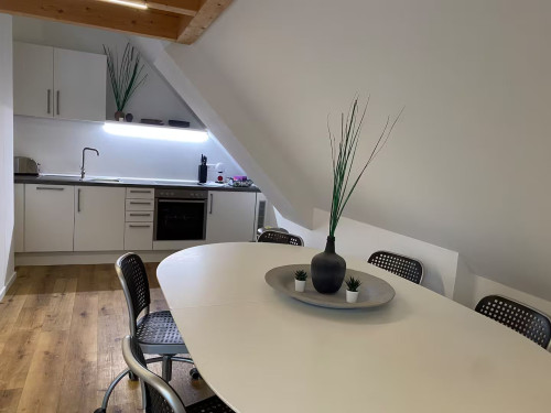 clay & style - stylish living with a lofted sleeping area