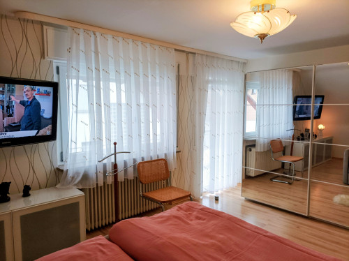 Furnished house near Baden Airpark - Gallery - 11