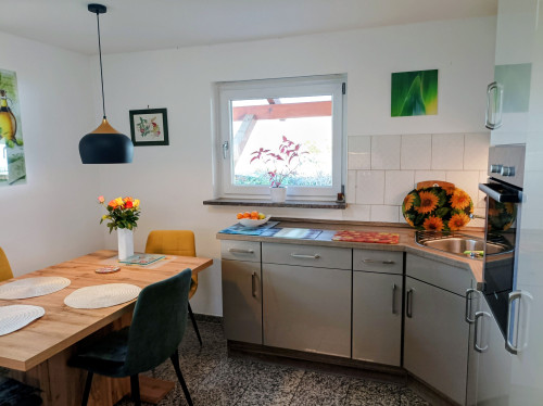 Furnished house near Baden Airpark
