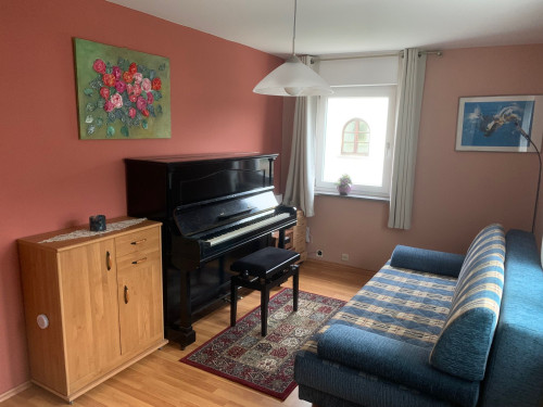 Furnished house near Baden Airpark - Gallery - 16