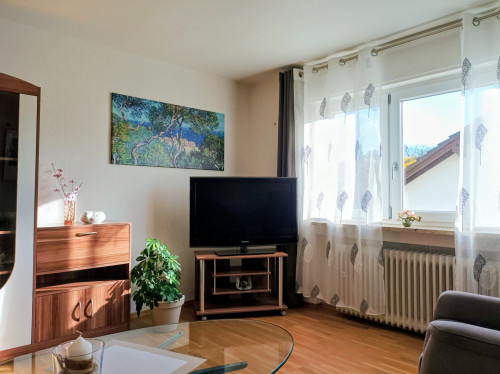 Furnished house near Baden Airpark - Gallery - 15