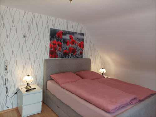 Furnished house near Baden Airpark - Gallery - 12