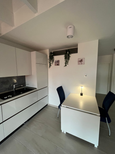 Beautiful suite - Gallery - 7