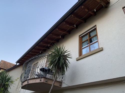 Amazing & wonderful studio in Erpolzheim next to vineyards