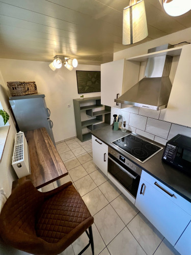 Renovated business appartment in Kippenheim - Gallery - 13