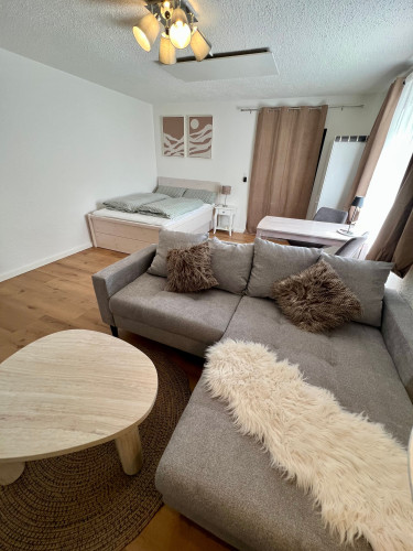 Renovated business appartment in Kippenheim - Gallery - 20