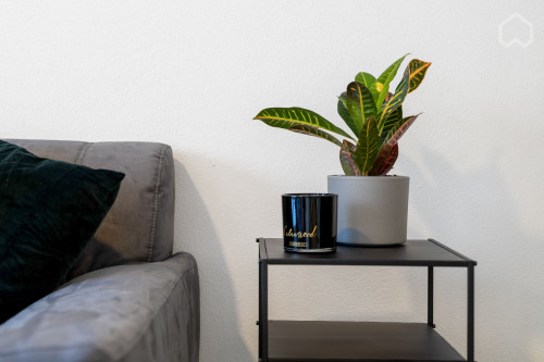 Select-Home 2 mit vielen Extras (Wlan, Netflix, Parkplatz, Kaffe & Tee)  - Gallery -  5