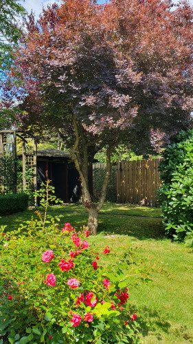 Haus in ruhiger, zentraler Lage