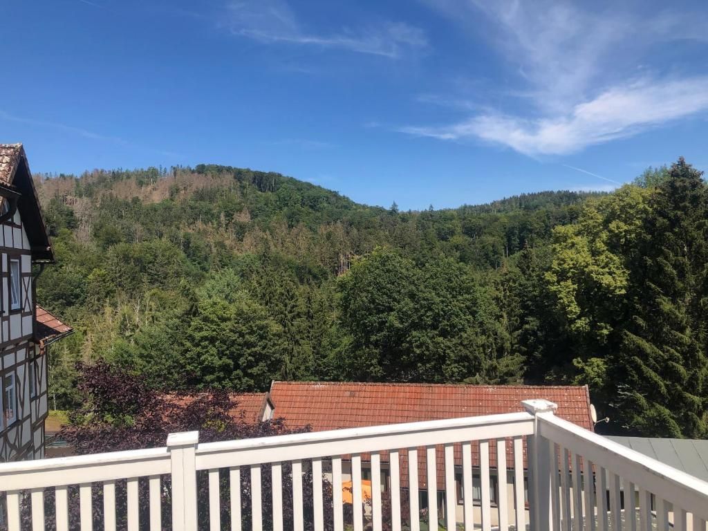  Attractive Furnished 2-Room Apartment With Large Rooftop Terrace In Bad Sachsa  -  Attractive furnished 2-room apartment with large rooftop terrace in Bad Sachsa  - Gallery -  11