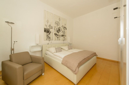 New & neat loft near school
