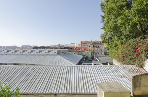Fresh double bedroom not far from UAL - Universidade Autónoma de Lisboa - Gallery - 19