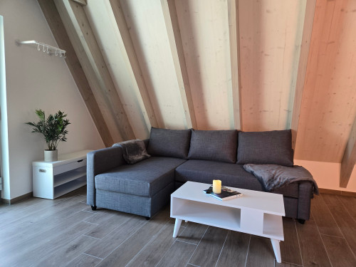 Holiday & Stay Blautopf Apartment 5XL 63m² apartment: charming and centrally located - Gallery - 2