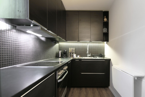 Flat in the architect's house