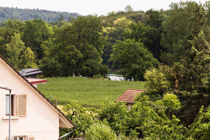 Maisonette Wohnung Mit Steuervorteilen In Büsingen Am Hochrhein - Maisonette Wohnung mit Steuervorteilen in Büsingen am Hochrhein - Gallery - 4