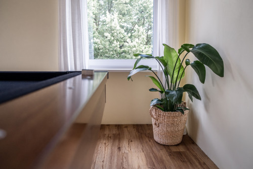 Lovingly furnished loft in the middle of Kippenheim