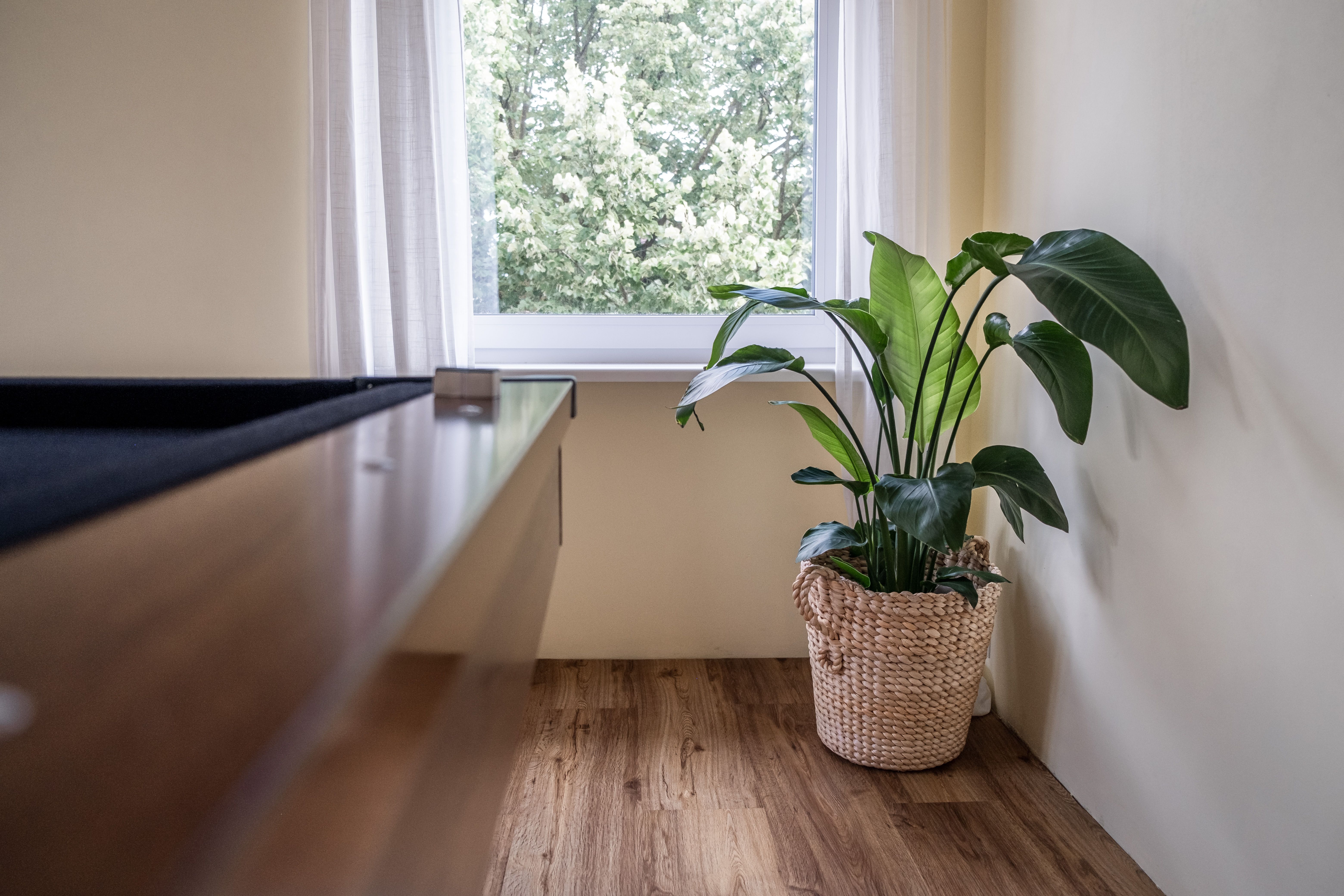  Lovingly Furnished Loft In The Middle Of Kippenheim  -  Lovingly furnished loft in the middle of Kippenheim  - Gallery -  24