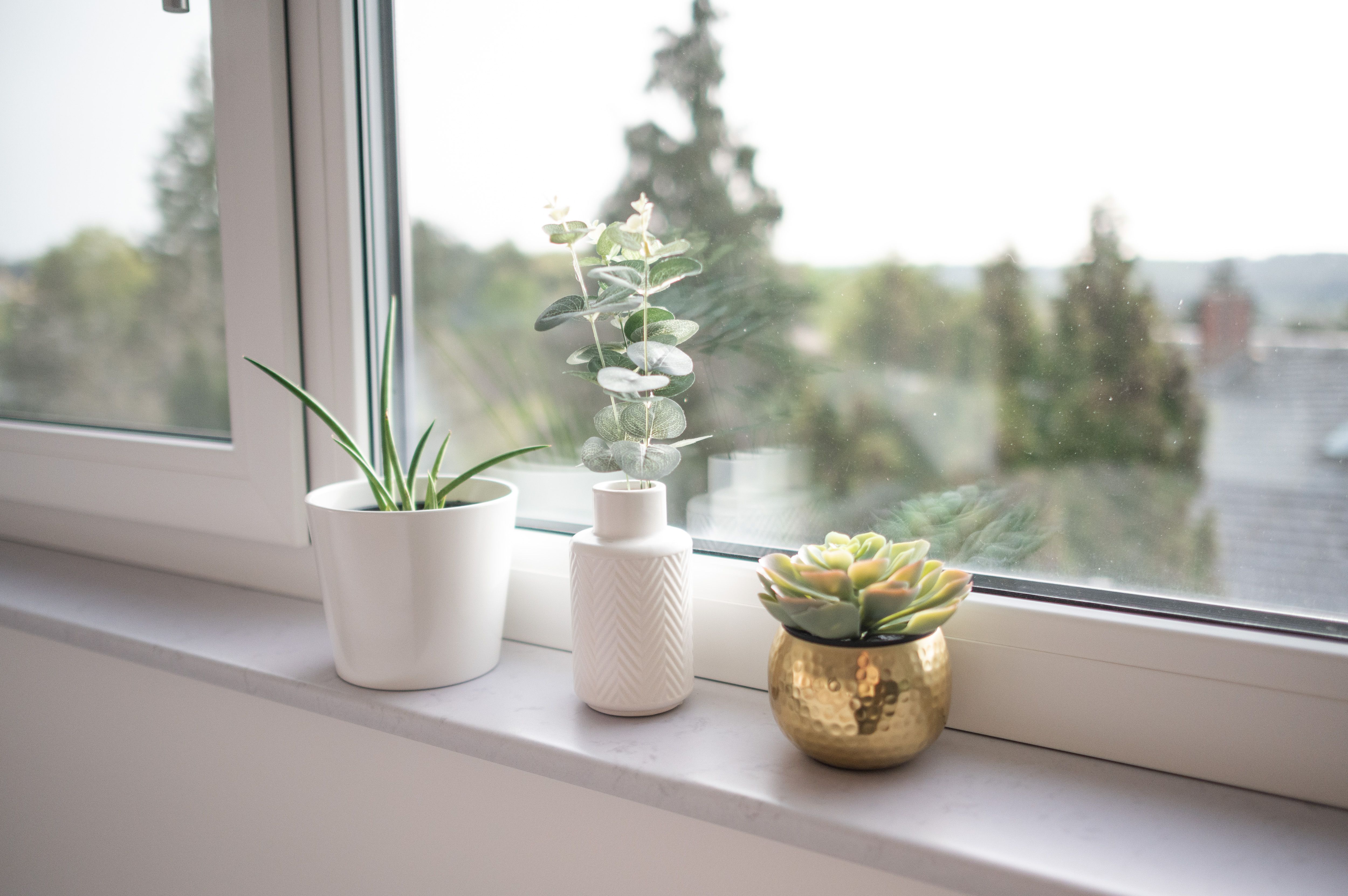 Exklusives Penthouse In Der Nähe Von Dresden - 1