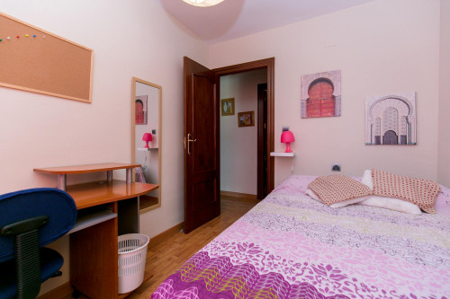 Calle Rosalía de Castro, Granada - Gallery - 10