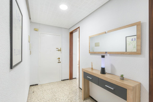 Carrer Sant Vicent, Elche - Gallery - 8