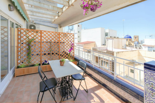 Carrer Sant Vicent, Elche - Gallery - 7