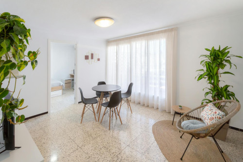 Carrer Sant Vicent, Elche - Gallery - 9