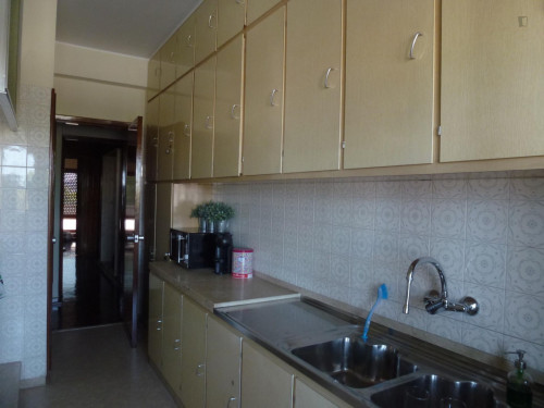 Splendid double bedroom with balcony in Campolide
