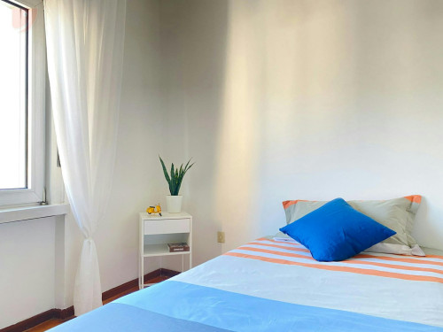 Via della Prepositura, Trento