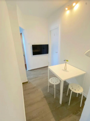 Premium room near center with AC, deluxe double bed, WIFI and TV for students