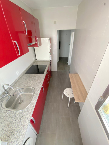 Double bedroom in a 4-bedroom apartment near Parque de Miraflores - Gallery - 11