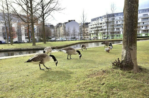Eintrachtstraße, Düsseldorf