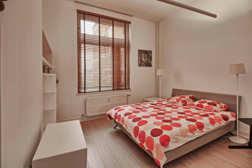 Avenue Louis Bertrand, Schaerbeek  - Gallery -  5