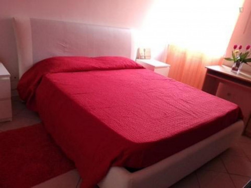 Cosy single bedroom in Tor Vergata Neighborhood