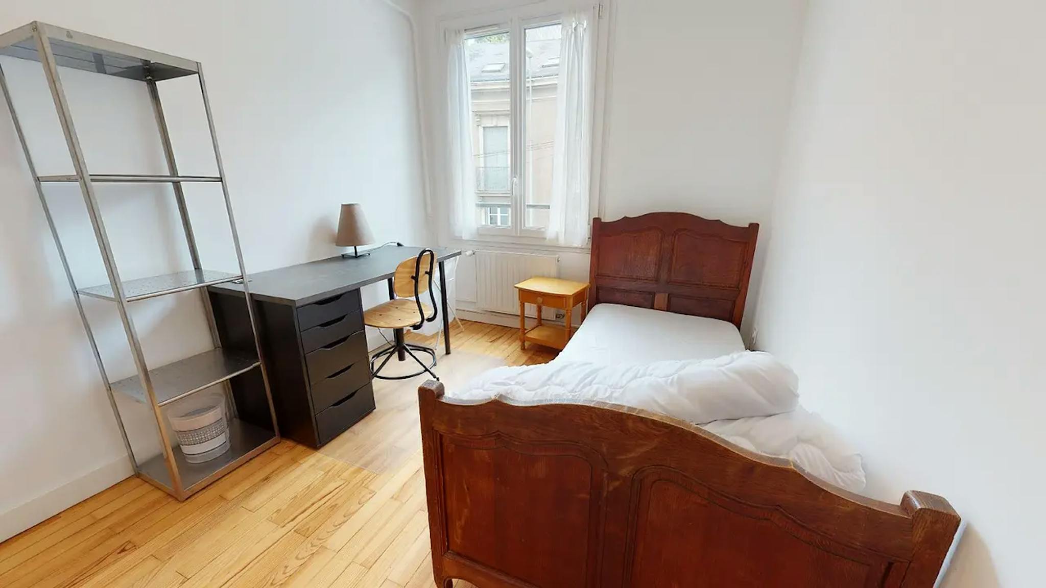  Private Room  -  Rue François Bruneau, Nantes  - Gallery -  1