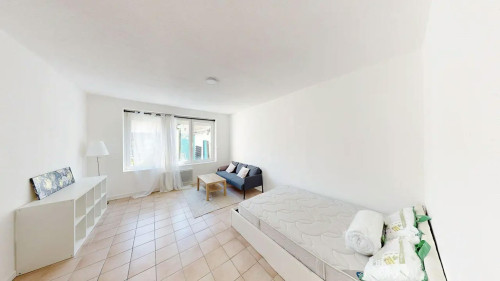 Rue du Cerf, Mulhouse  - Gallery -  5