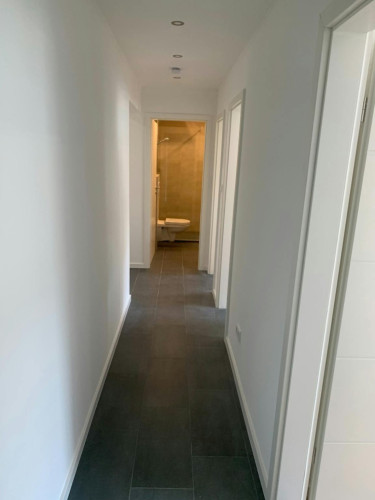 Schwanseestraße, Munich