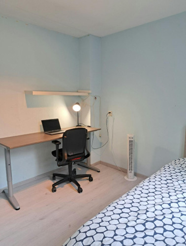Gravin van Burenlaan, Amersfoort  - Gallery -  5