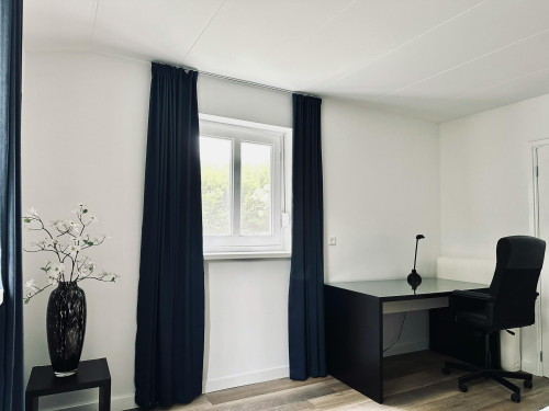 Geert Grooteplein Zuid, Nijmegen  - Gallery -  5
