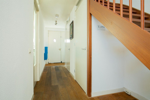 Spaarndammerplantsoen, Amsterdam
