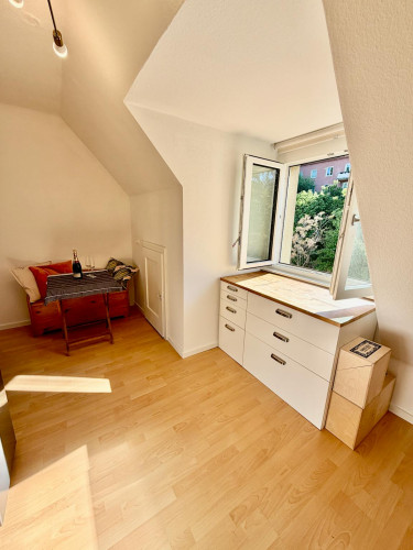 Hohe Warte, Vienna  - Gallery -  5